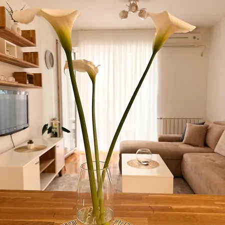 Bright & Cozy Apartment, 5 Min From Airport Apartamento *